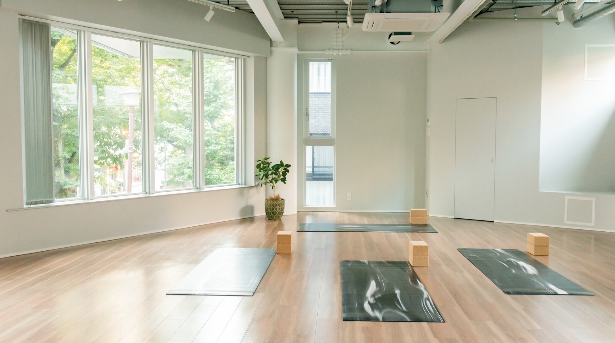 MINT MAT Yoga Studio