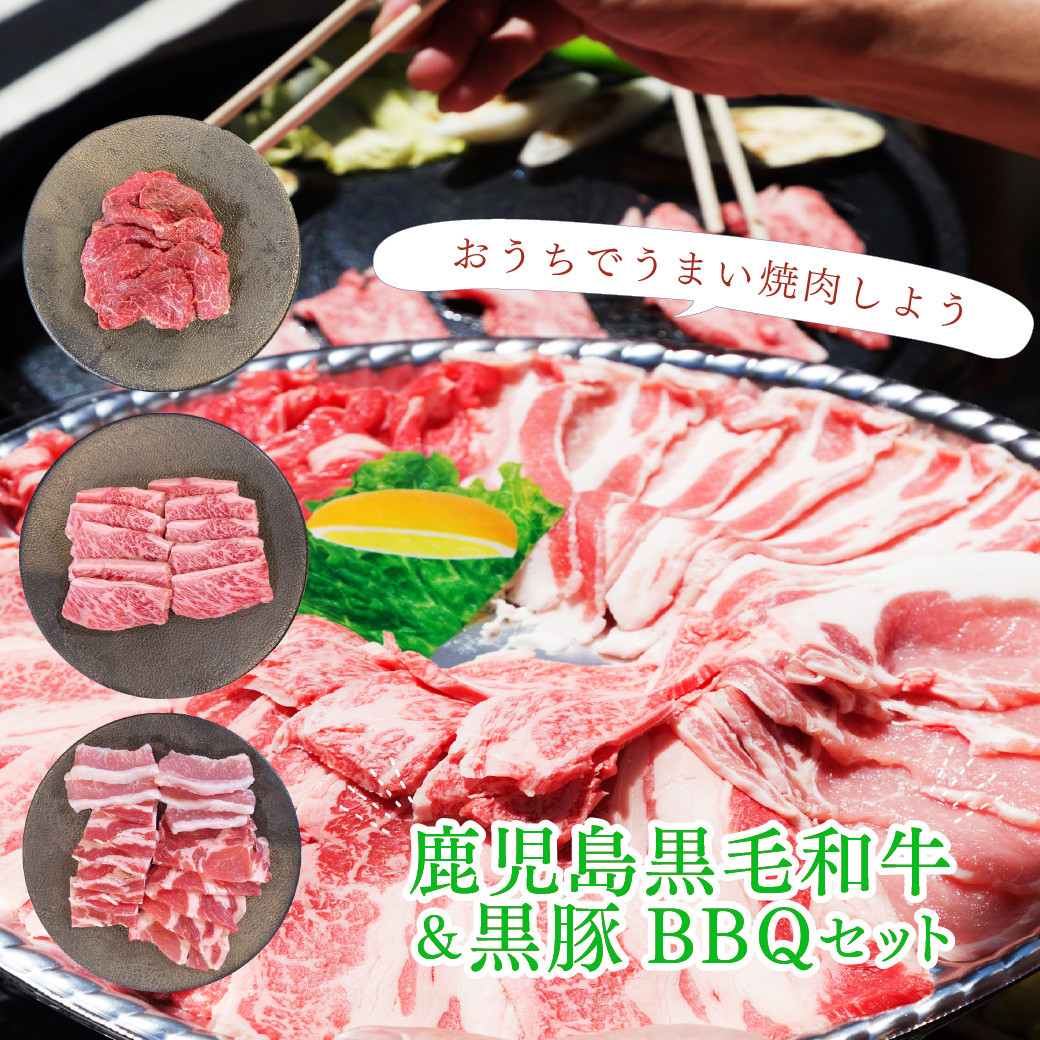 鹿児島黒毛和牛(経産牛)＆かごしま黒豚よくばり5種食べ比べセット650g