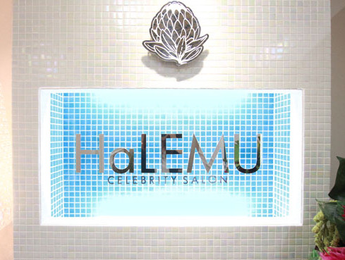 HaLEMU CELEBRITY SALON(ハレム セレブリティ サロン)の店内風景